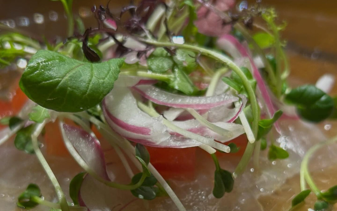 《メダイのカルパッチョ》